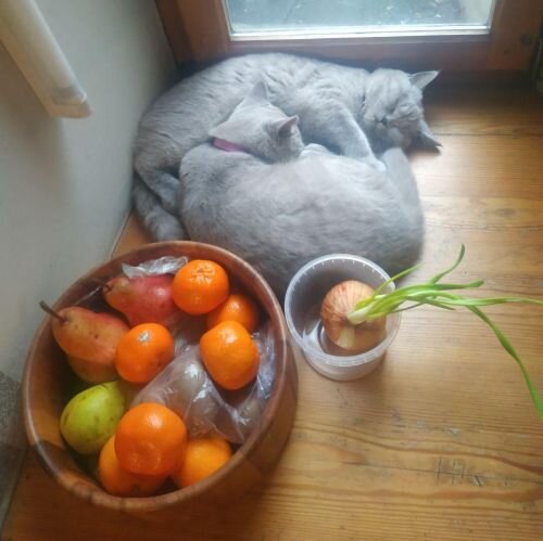 Натюрморт