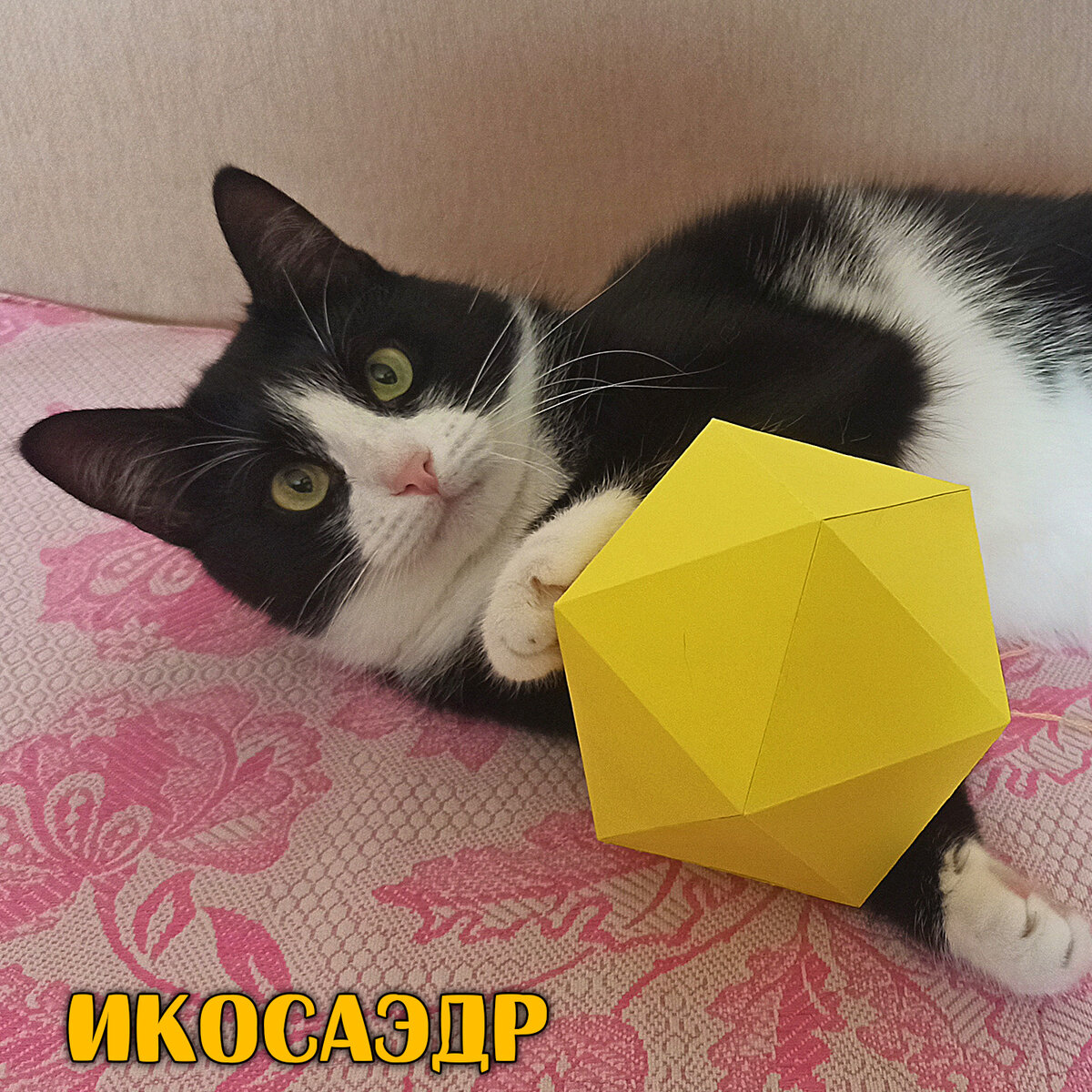 Котаэдр с Икосаэдром
