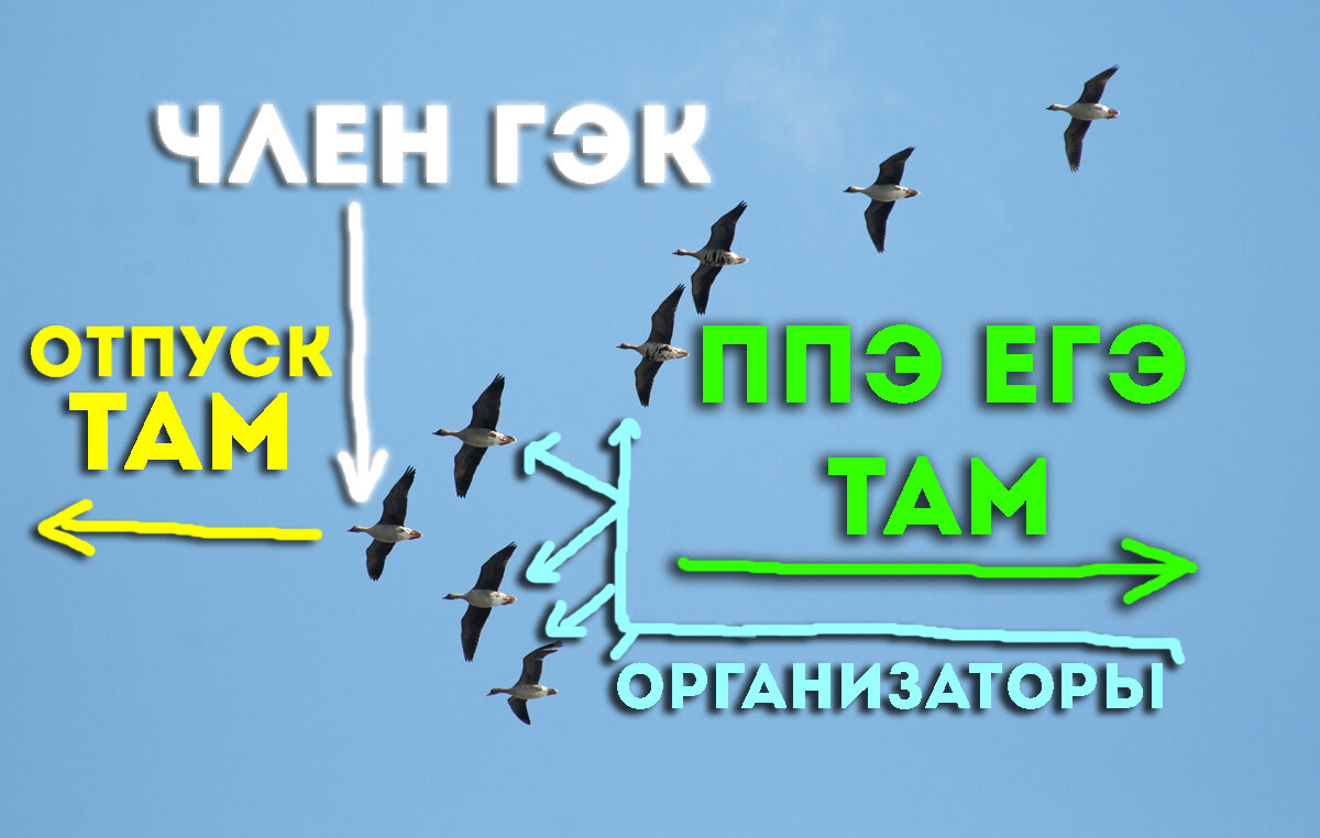 Это происходит всегда именно так и каждый год