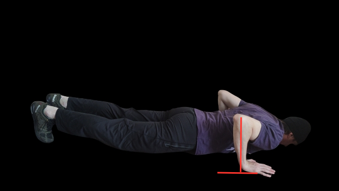 Предплечья вертикально