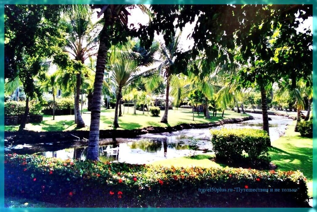 Вид на парковую часть отеля