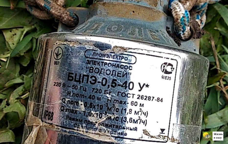 Насос водолей 40