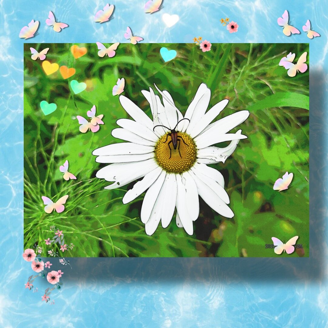 Спасибо, что читаете и подписываетесь на канал!