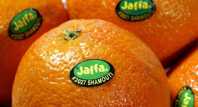 Источник: яндекс