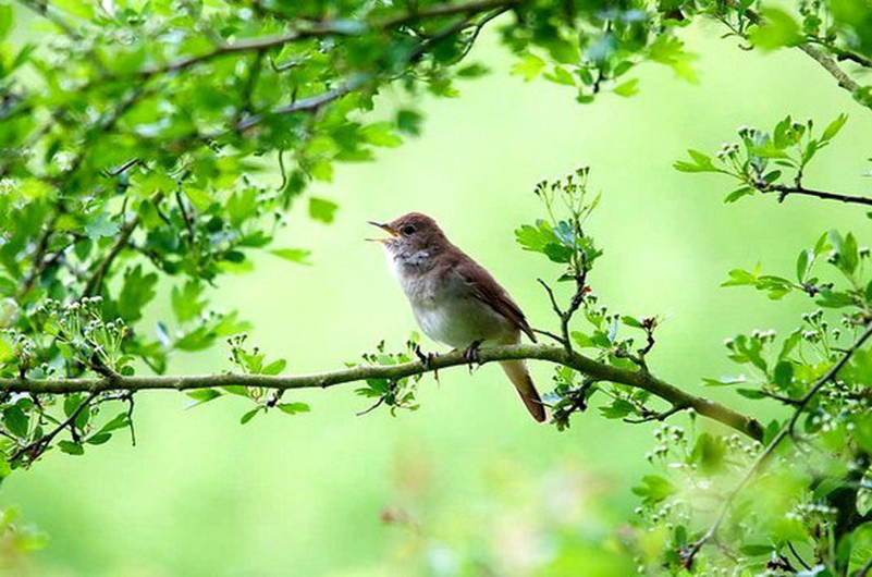 Картинка из открытых источников.