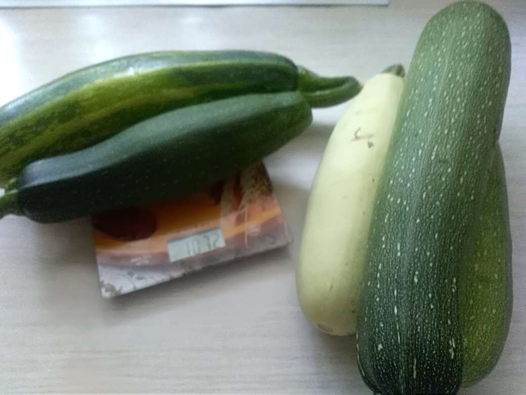 кабачки