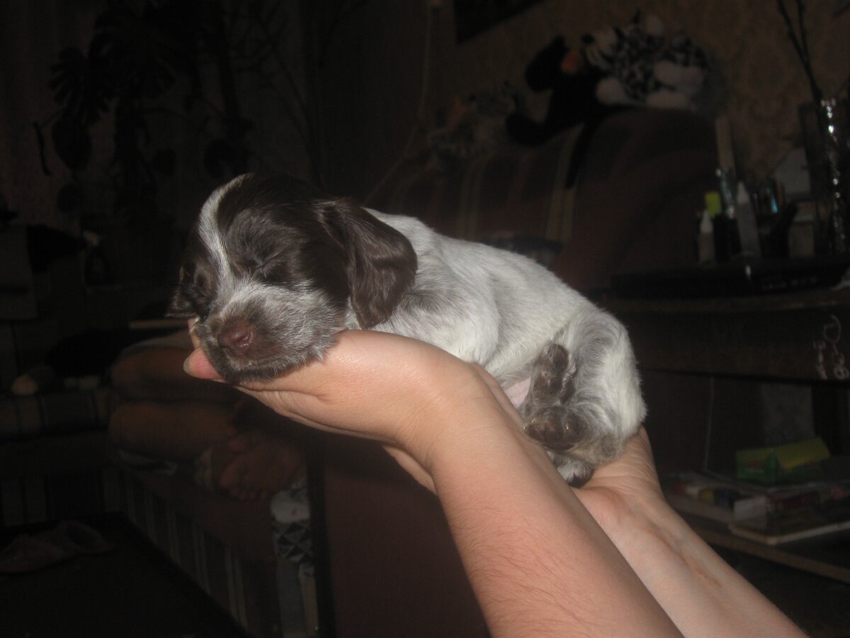 май 2009, комплекс Байконур