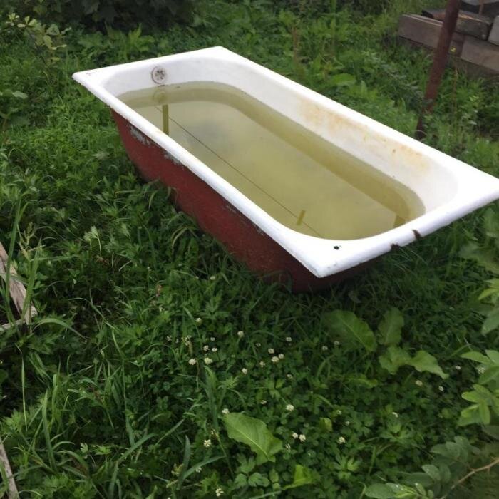 Старая ванна вода. Прудик из старой ванны. Акриловая вставка в чугунную ванну. Ржавая ванная. Старая ванна в саду.