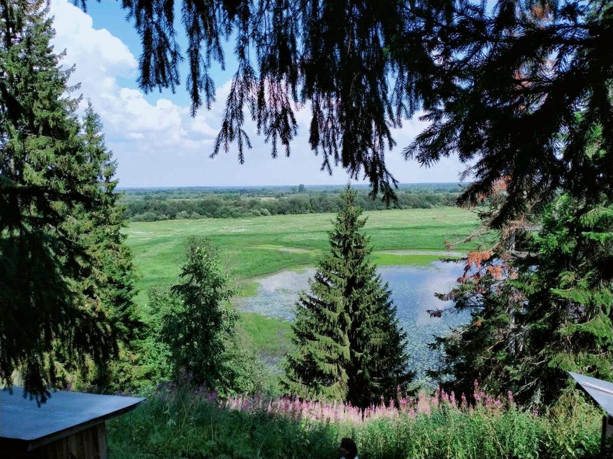 время ,самый лучший лекарь