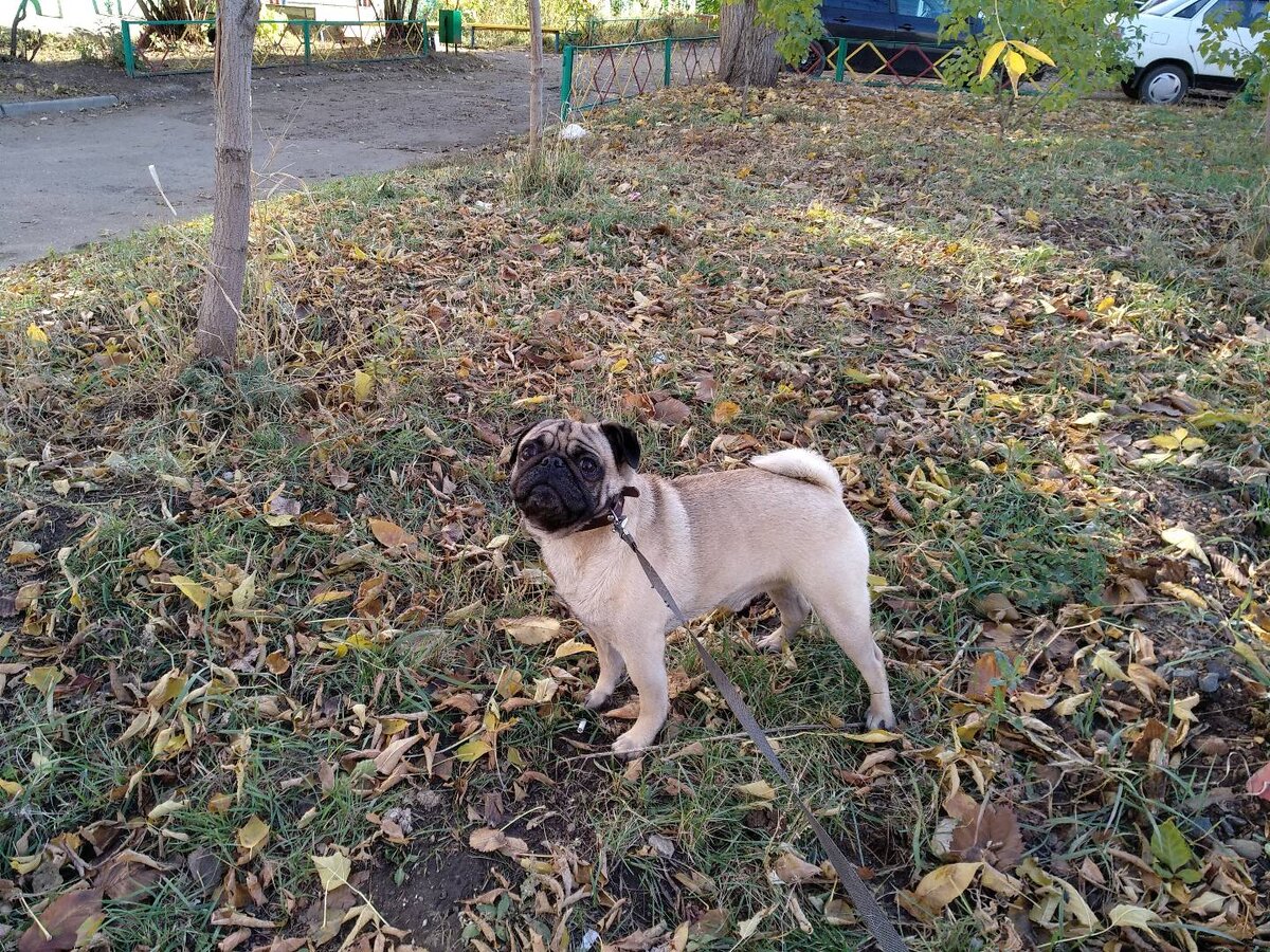 Фото из личного архива