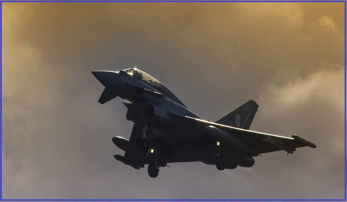 Посол ФРГ в Швейцарии Михаэль Флюгер сказал: "Этим предложением мы приглашаем Швейцарию как нашего соседа и надежного партнера в политике безопасности и экономических вопросах защитить свое воздушное пространство с помощью Eurofighter и тесно сотрудничать с нашими военно-воздушными силами. Для Германии Швейцария - это не просто клиент, а стратегический союзник, с которым мы хотели бы еще больше активизировать наше и без того тесное сотрудничество. Eurofighter - это единственная платформа, совместно разработанная и эксплуатируемая несколькими европейскими странами, и поэтому она была бы идеальным решением для Швейцарии".