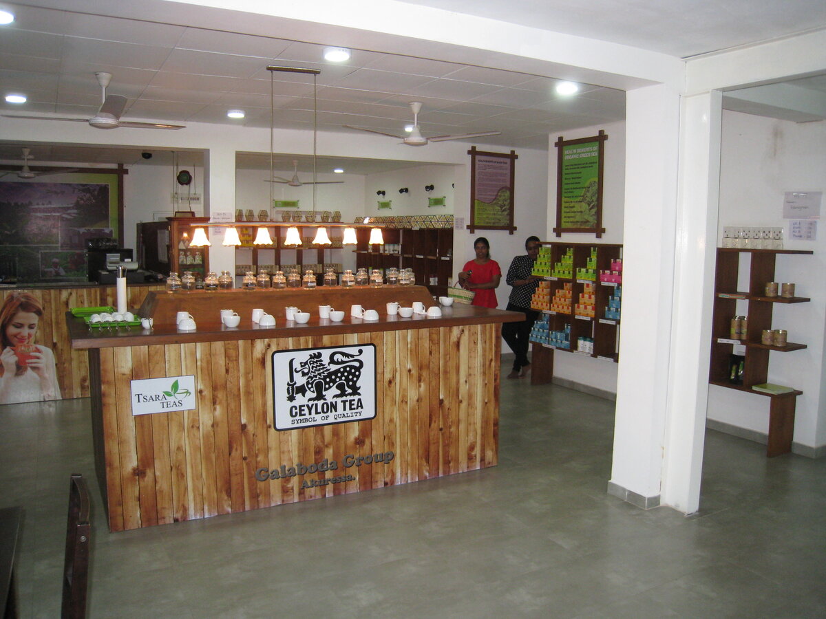 Дегустация чая на фабрике