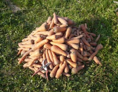 а Вам слабо?!