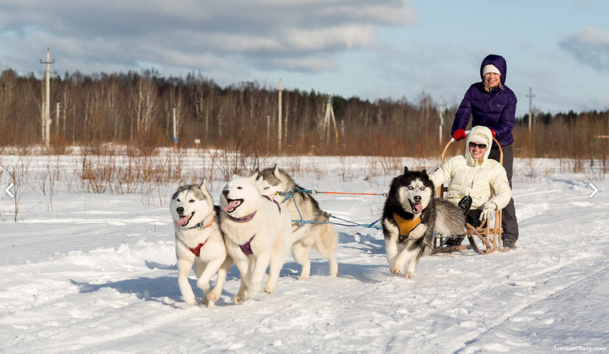 Фото: haskipark.ru