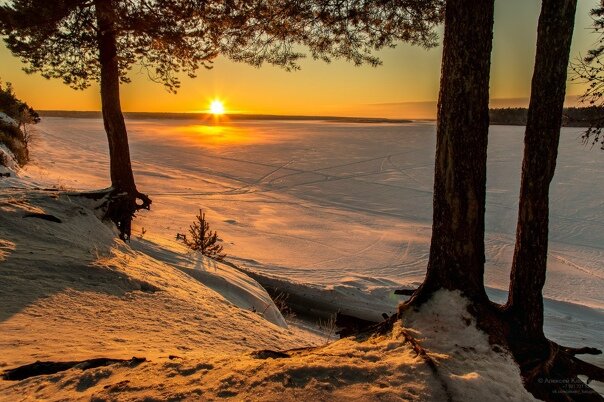 Фото из открытых источников