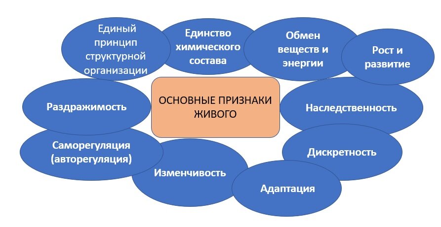 Все эти признаки характерны как для человека, так и для крошечной амёбы