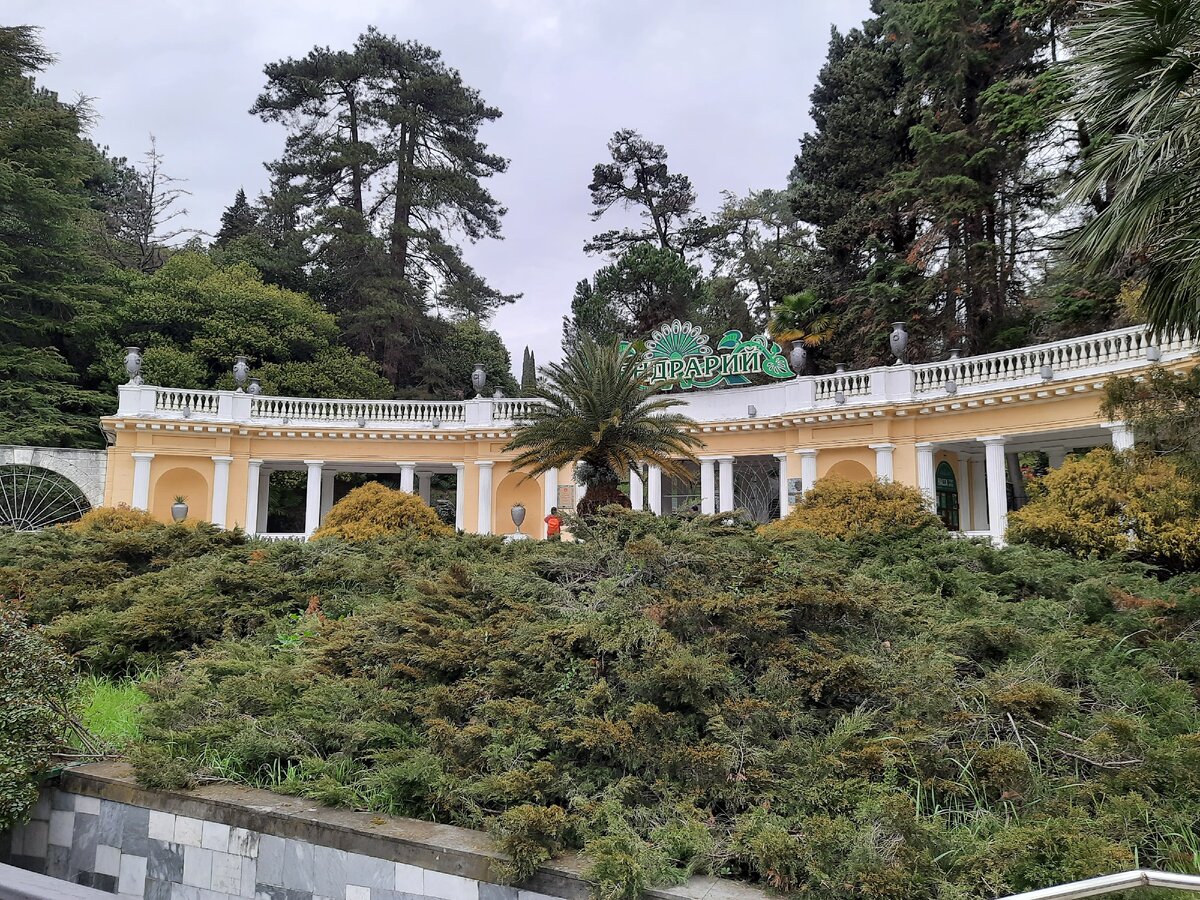 Дендрарий, фото автора канала 