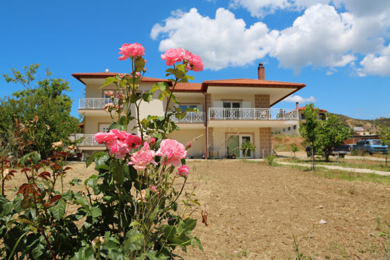 Розы. (Фото используется по стандартной лицензии ©ogorodnye-shpargalki.ru)