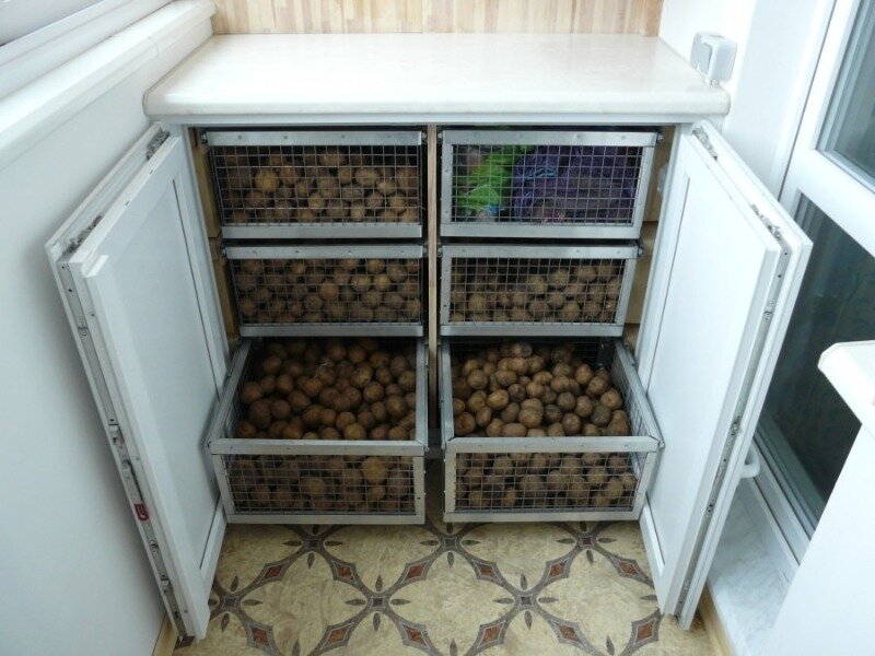 Холодильные шкафы для хранения овощей и фруктов - купить в Москве недорого по цене производителя