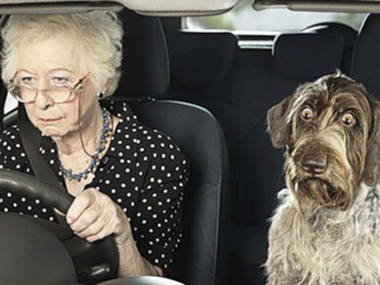 Фото из интернета