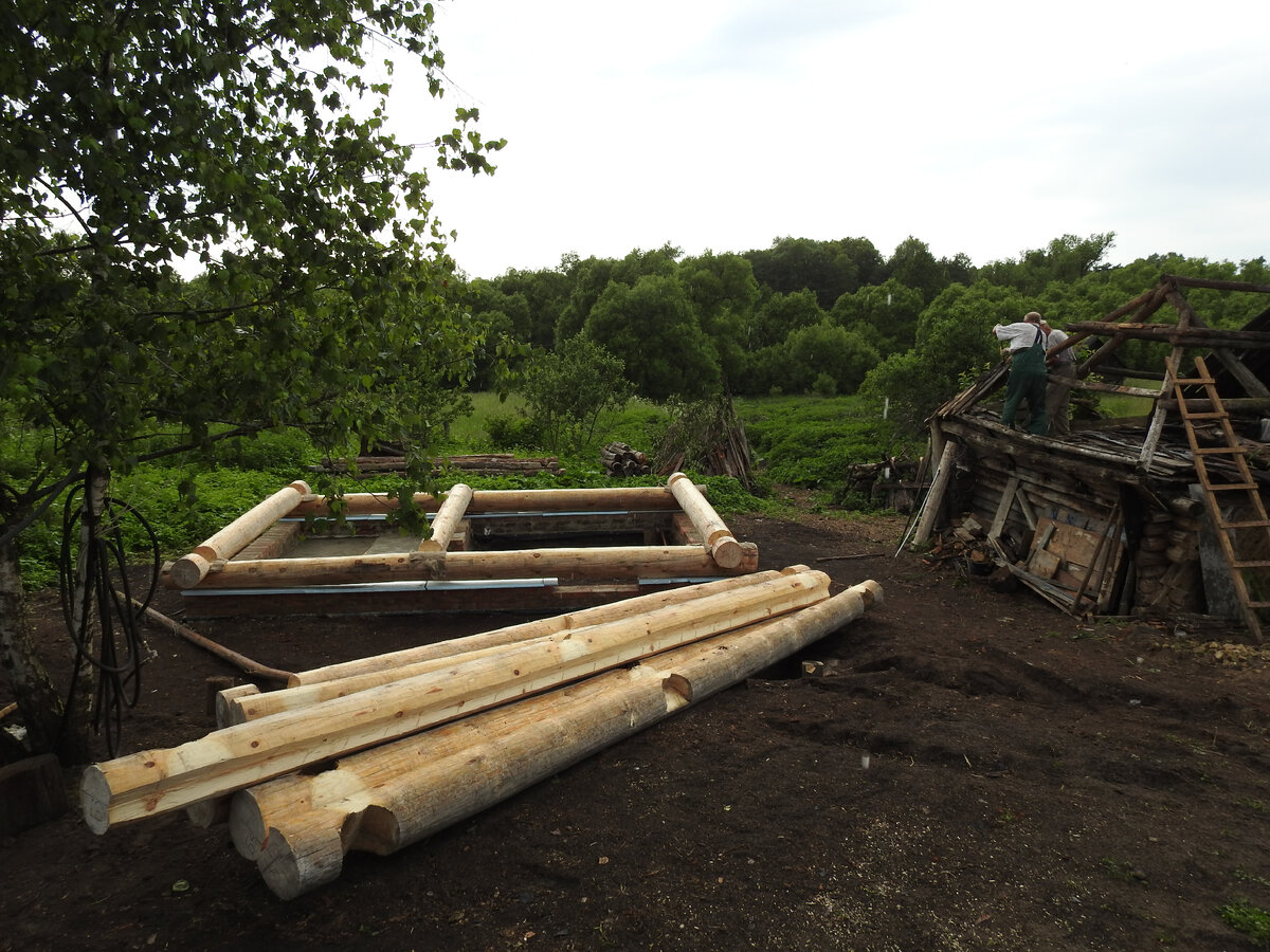 Первый венец уложен. Листайте галерею.