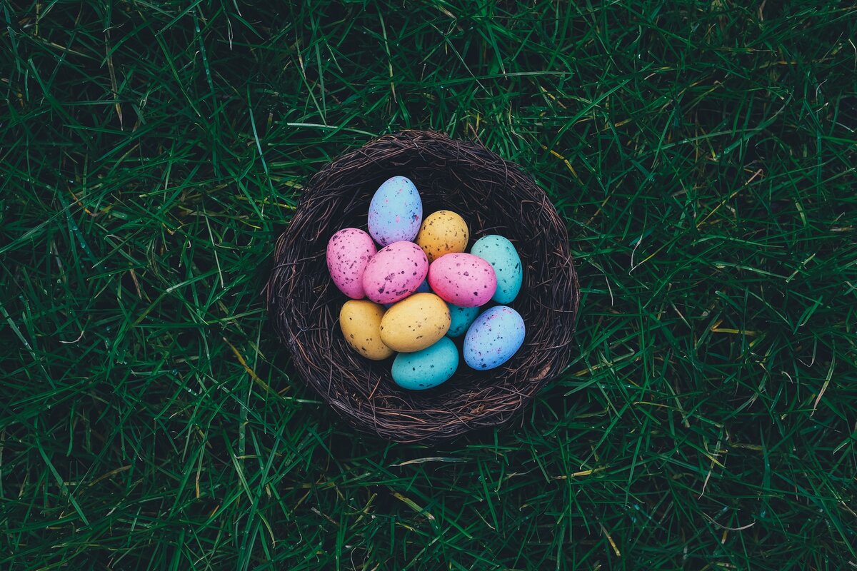 Photo by Annie Spratt on Unsplash https://unsplash.com/photos/43o1KVbOWXA