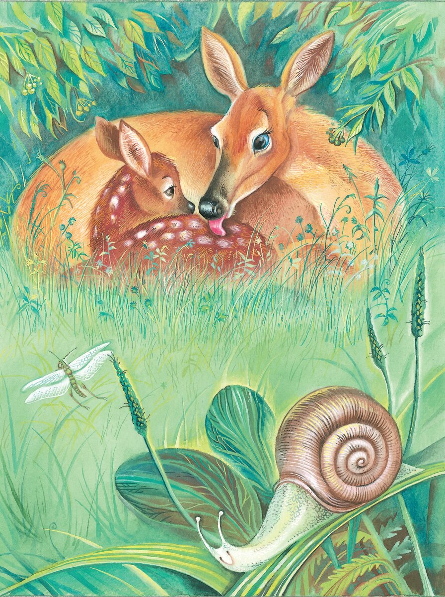 сказочные открытки с днем рождения. сказки дональда биссета иллюстрации. афиша к сказке три медведя. сказки про рождение. сказка о мёртвой царевне и семи богатырях рождение царевны.