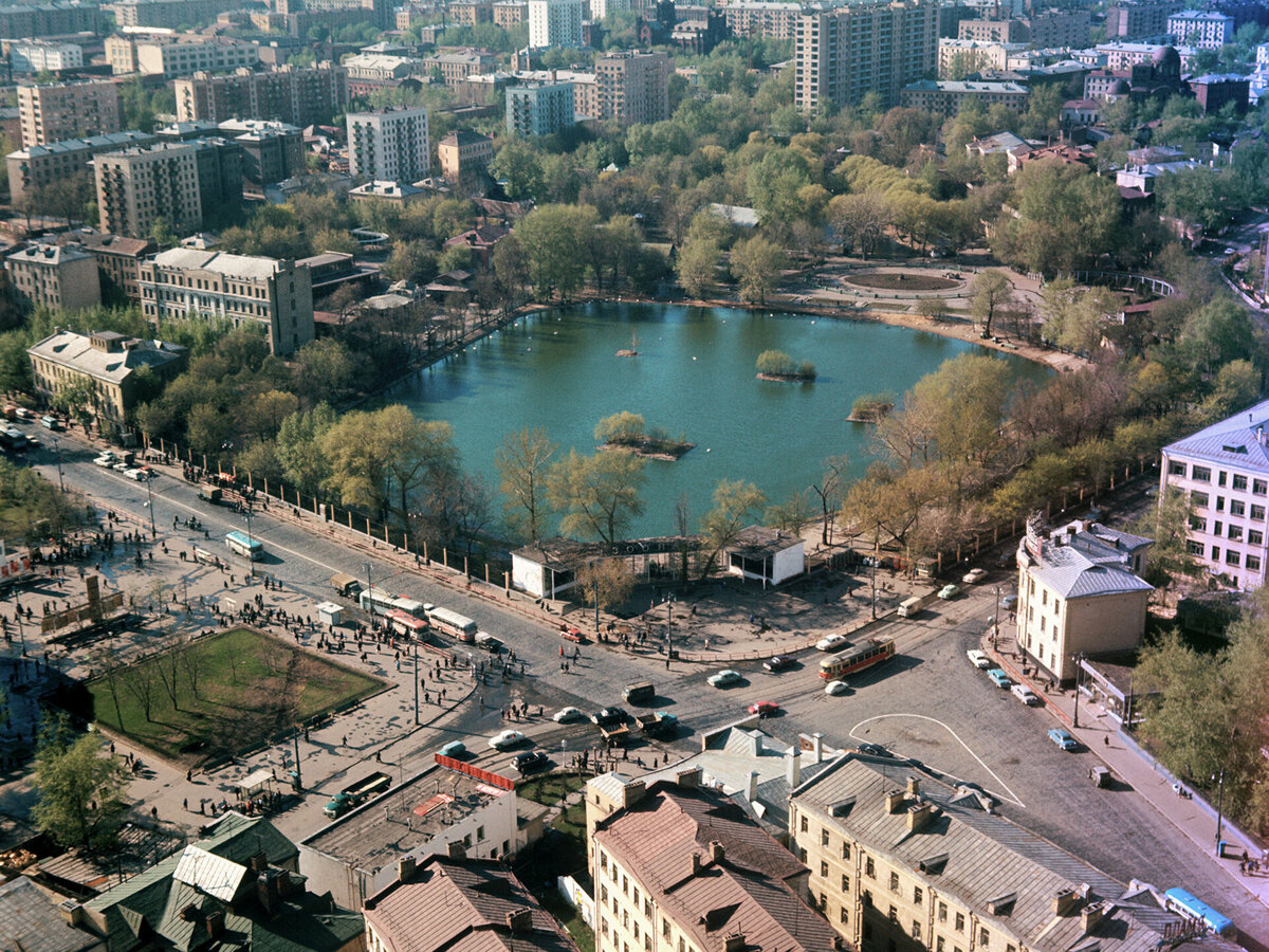 московский зоопарк вид сверху