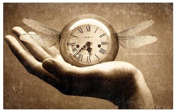 источник картинки - "img1.socratify.net"