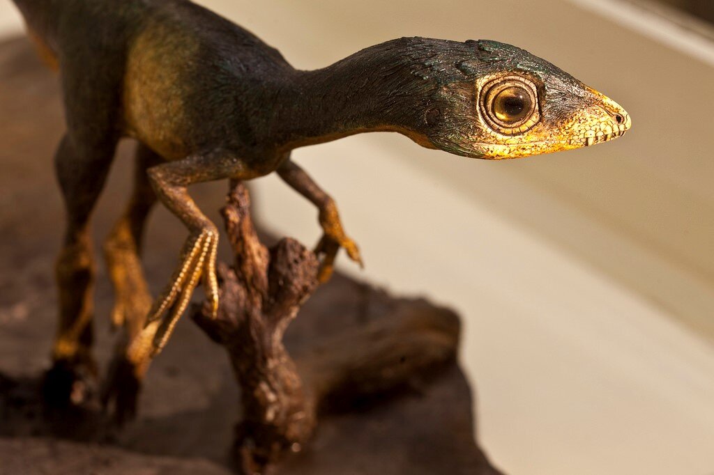 Сципионикс