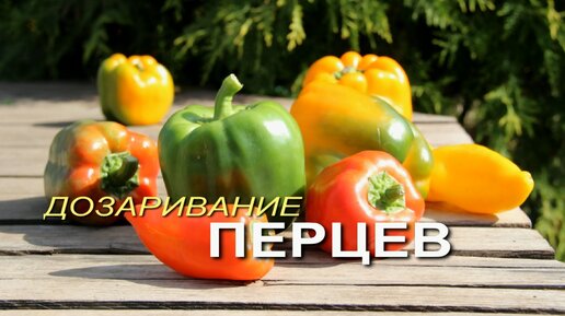 Как ДОЗАРИТЬ и одновременно хранить ПЕРЕЦ в домашних условиях!