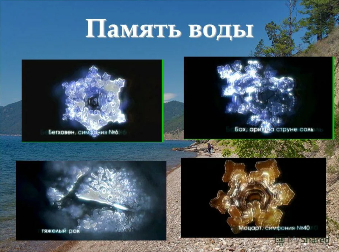 Вода обладает памятью. Японский ученый масару эмото вода. Вода ее память. Вода ее память. Опыты с водой память.