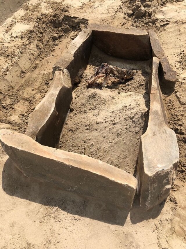    Каменный саркофаг ИИМК РАН