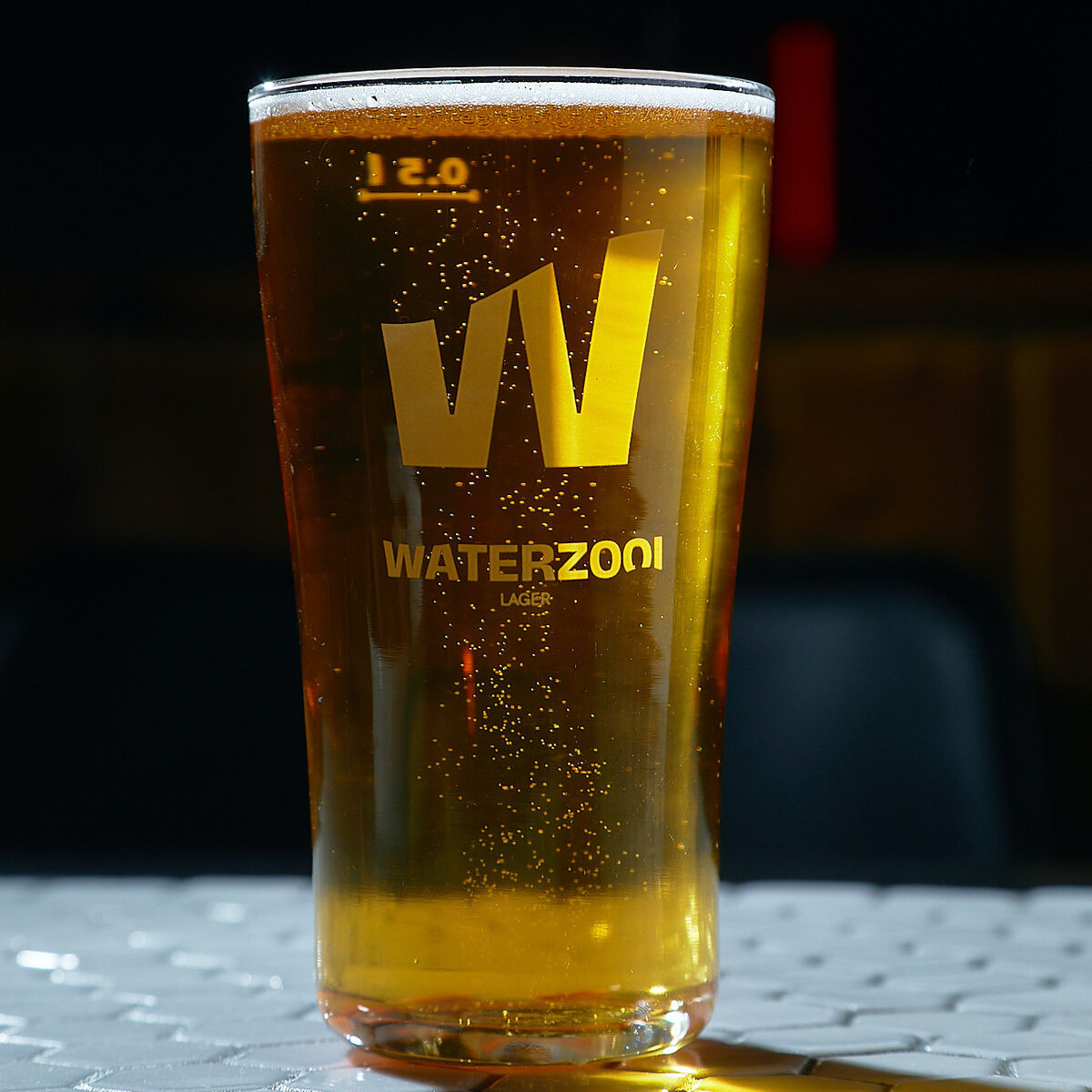  Waterzooi лагер