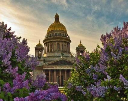Фото из открытого доступа Яндекса.