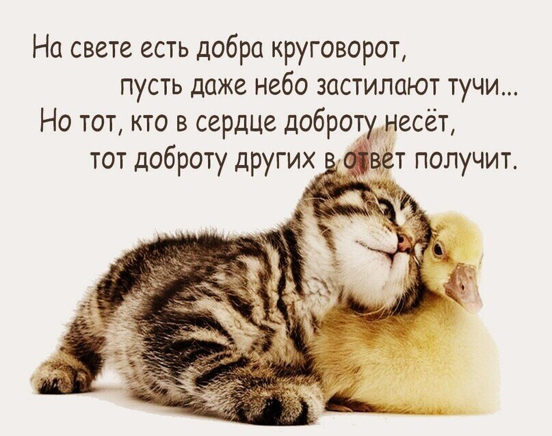 Картинка из интернета