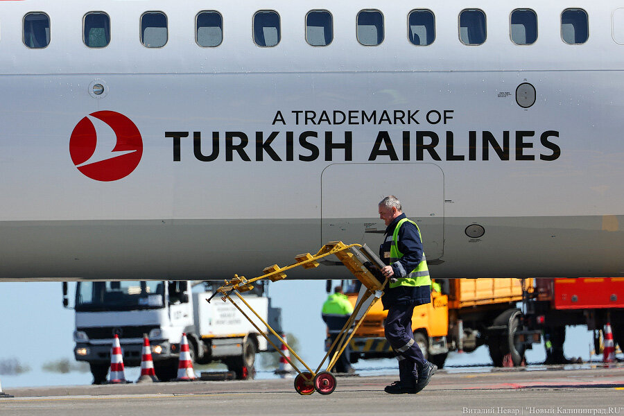 Фото: Виталий Невар / Новый Калининград