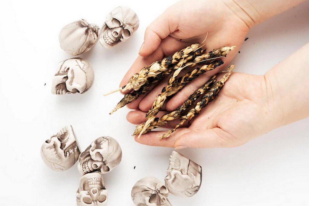 Фото freepik.com