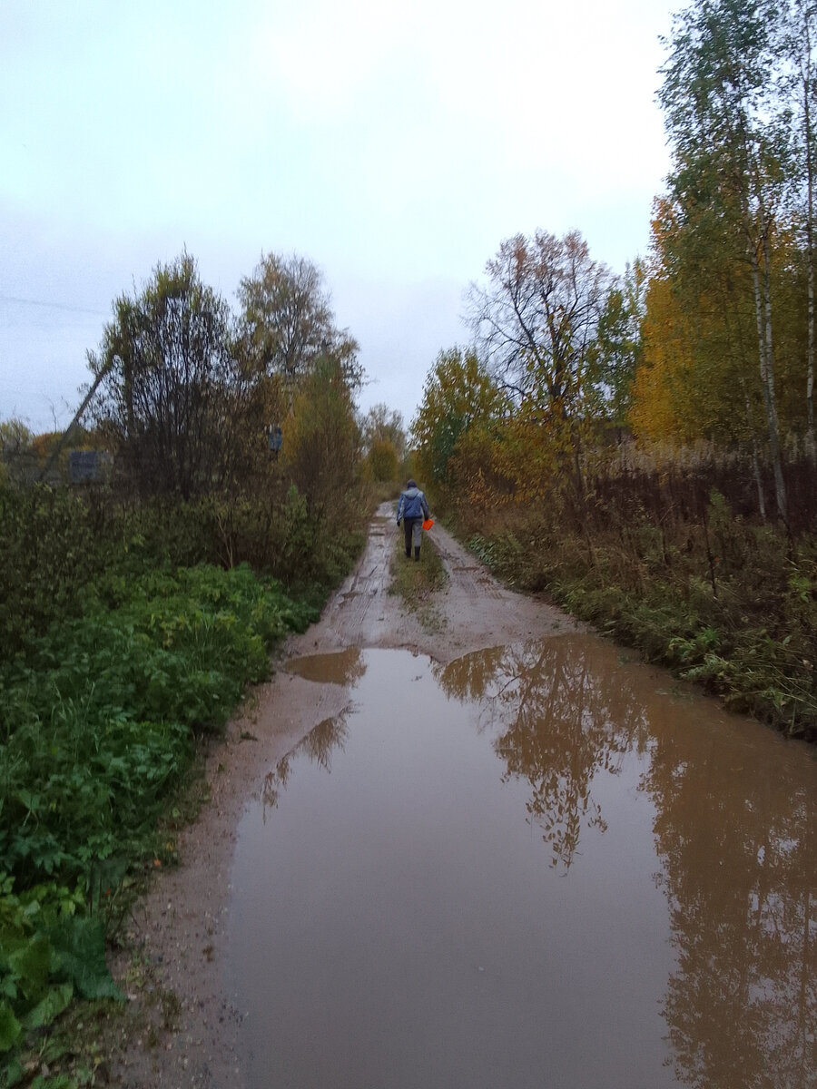 Дорога к деревне Симоново у поворота на деревню