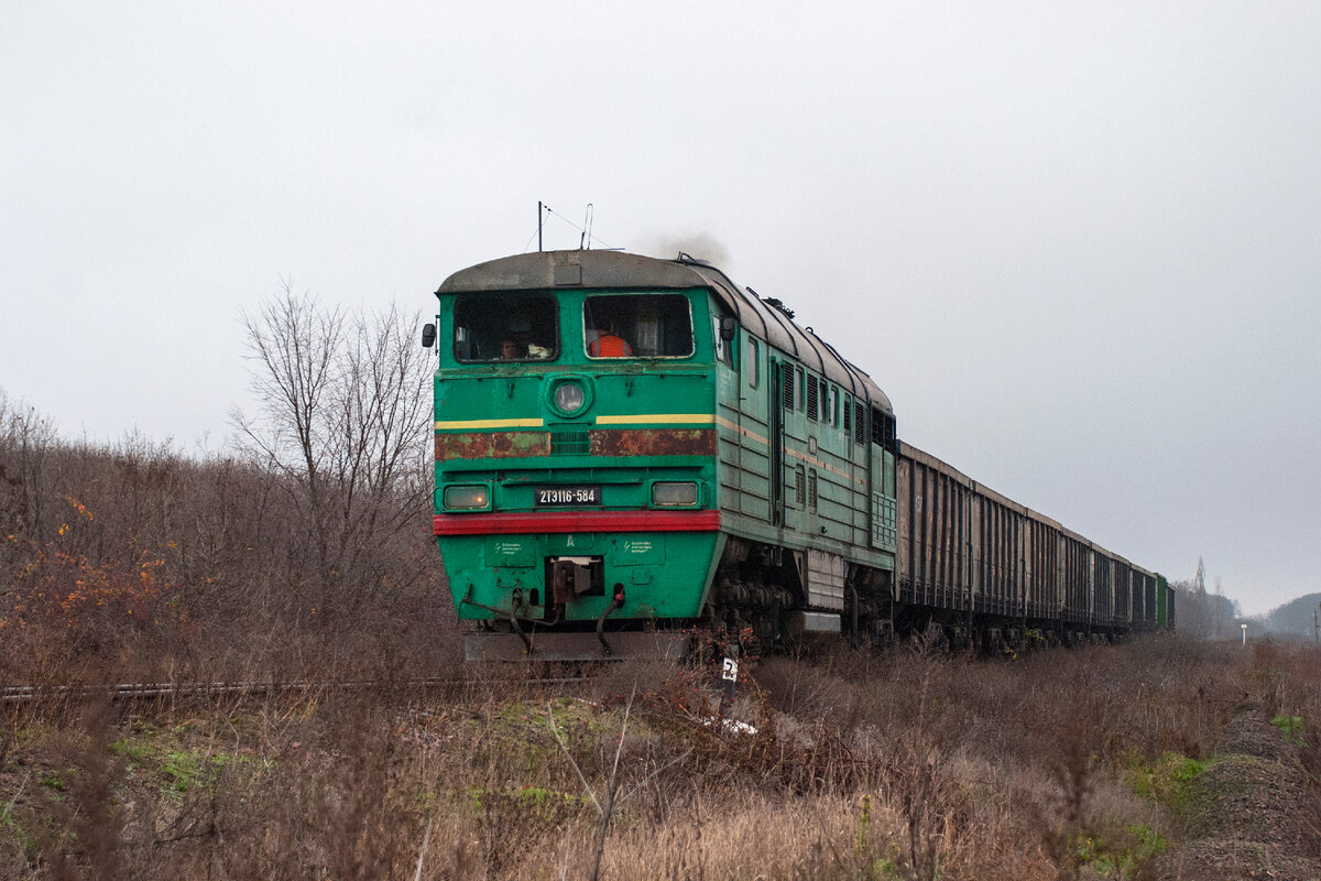 Тепловоз 2ТЭ116-584 с грузовым поездом следует по перегону Урзуф - Карань. 14 ноября 2013 года.