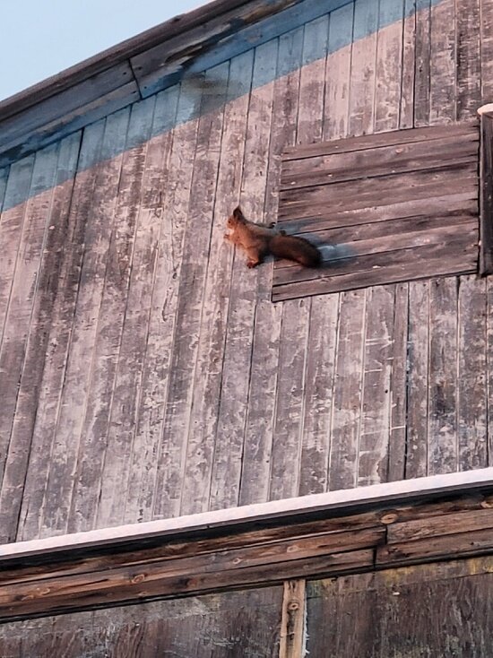     Фото: vk.com Лабытнанги сегодня