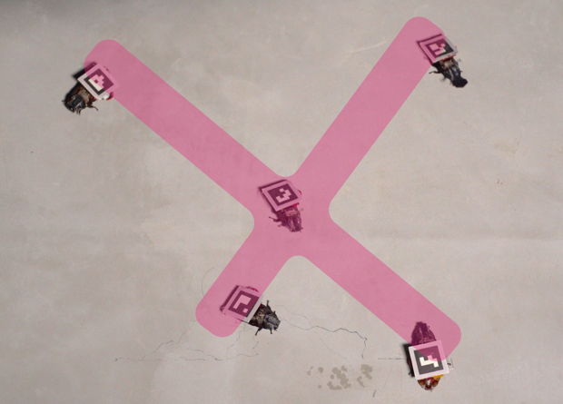 Yuga Tsukuda et al., University of Tsukuba