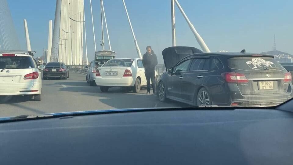     Автомобиль загорелся по пути на остров Русский на вантовом мосту. Теперь движение там затруднено, неравнодушные люди решили помочь владельцу машины.