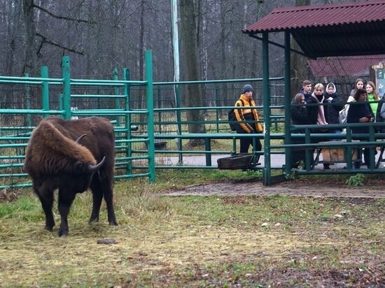     Фото серпуховского филиала "Русский лес"