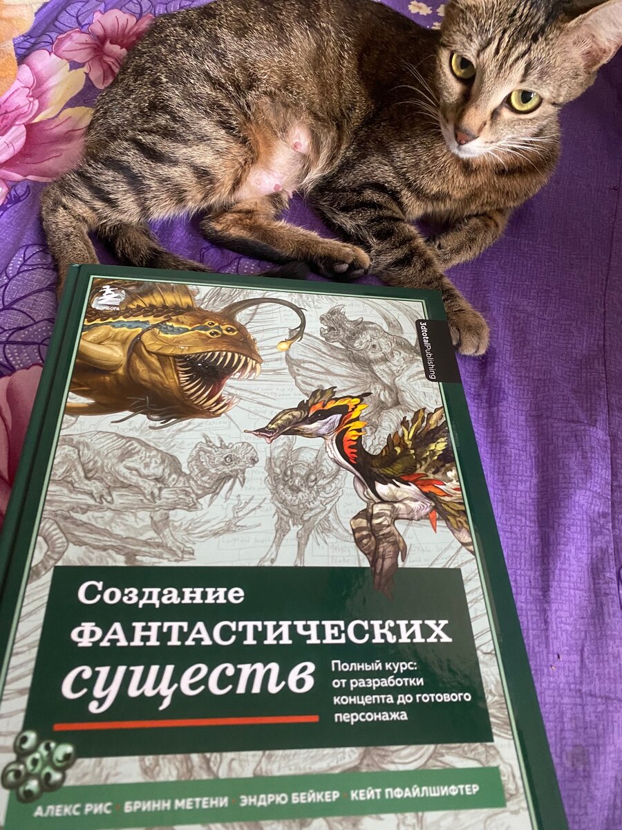 фото книжечки