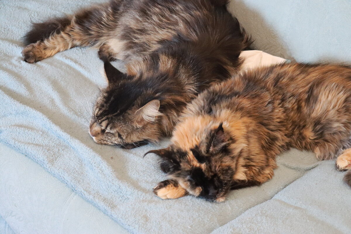 Фото из личного архива.