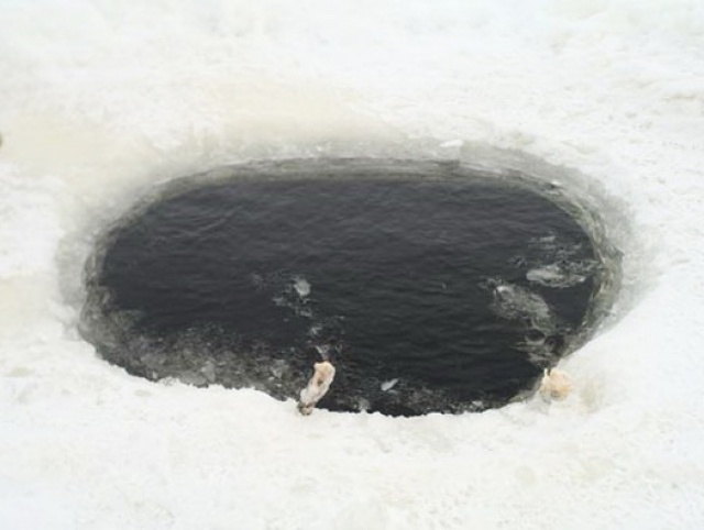    Прорубь Sputnik.fm