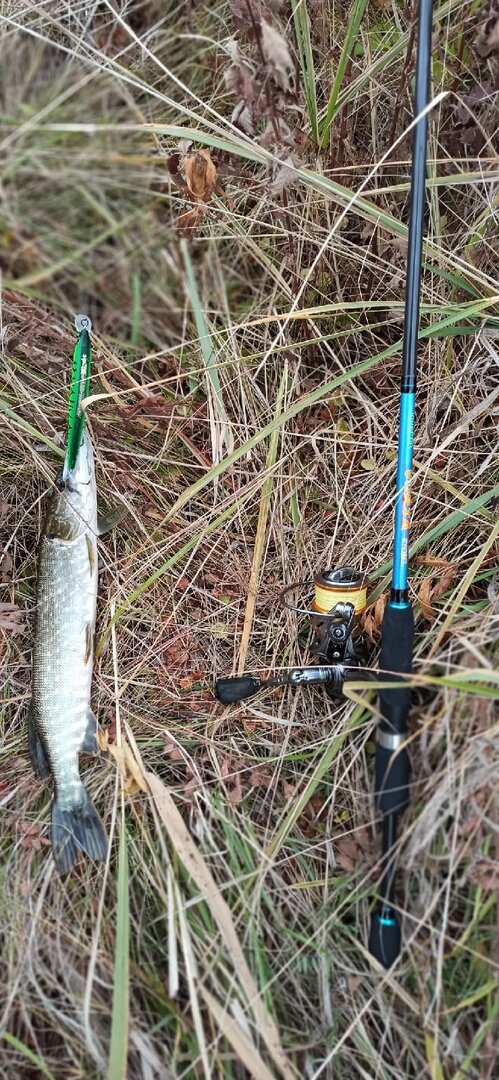 Спиннинг - меч спиннингиста. Фото автора.