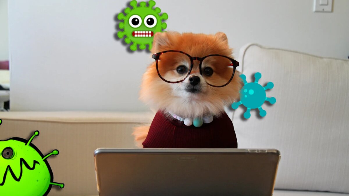 Что такое вирус-троян