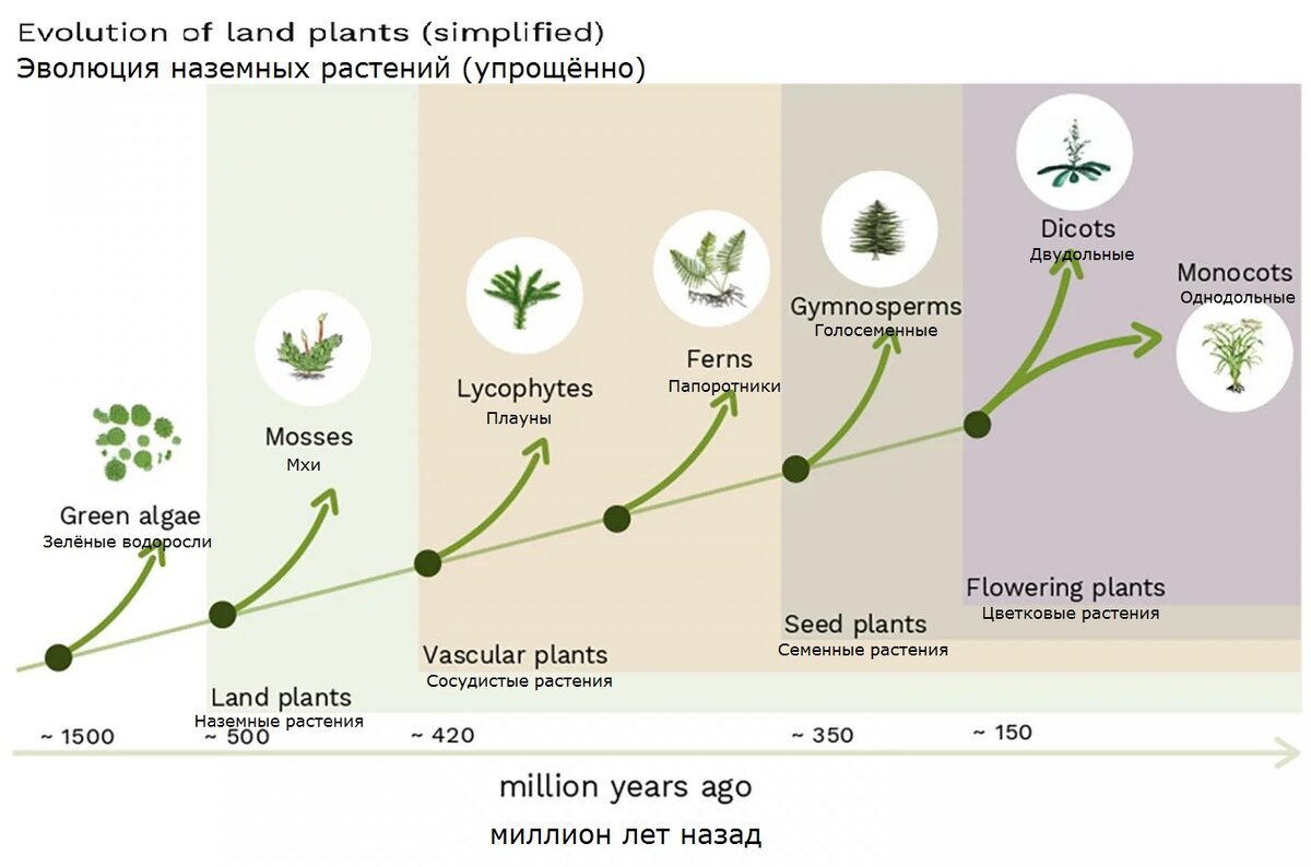 Версию project evolution